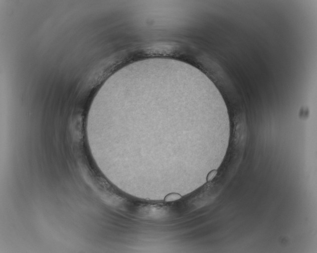 X0000111800498200909031232