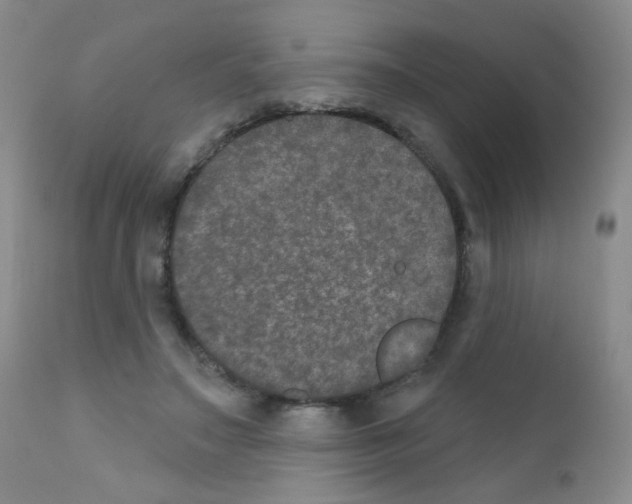 X0000111800499200909031232