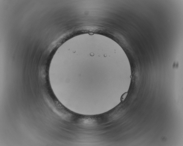 X0000111800500200909031232