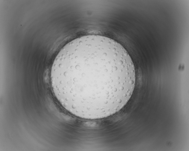 X0000111800502200909031232