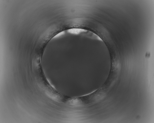 X0000111800503200909031232