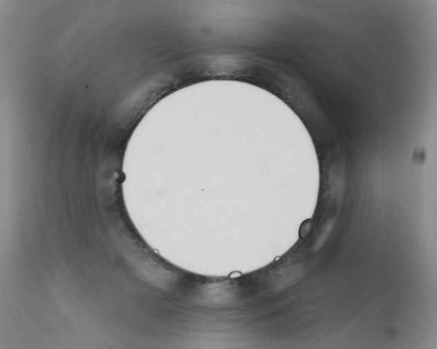 X0000111800505200909031232