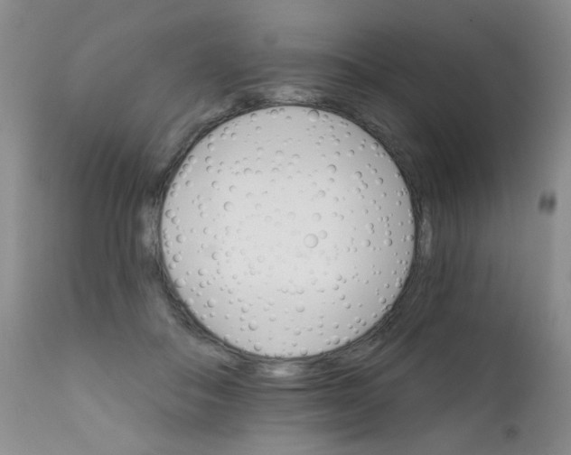 X0000111800506200909031232