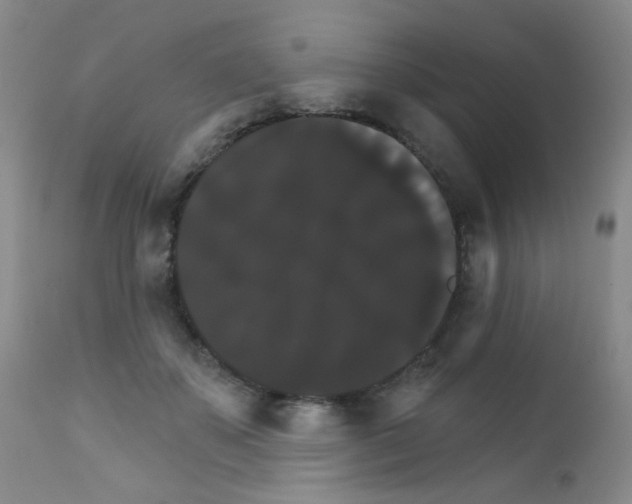 X0000111800507200909031232