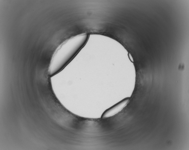 X0000111800509200909031232