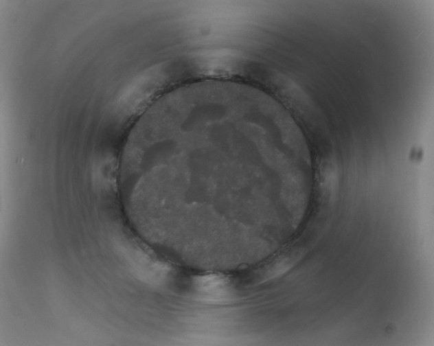 X0000111800511200909031232
