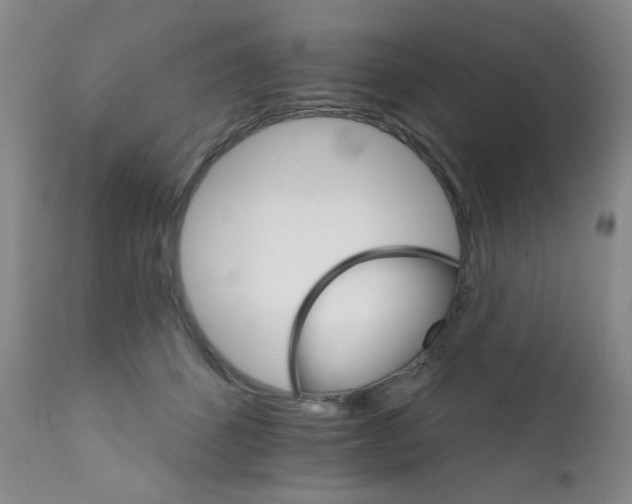 X0000111800512200909031232
