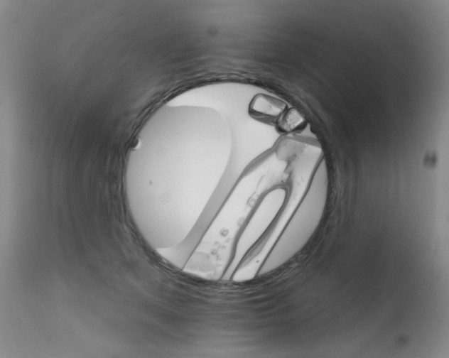 X0000111800513200909031232