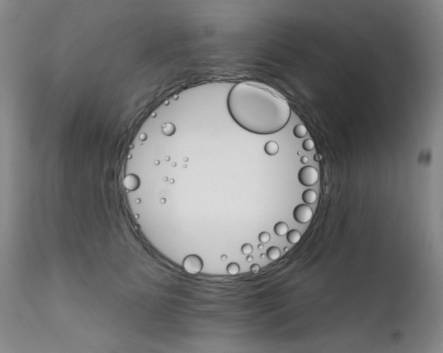 X0000111800515200909031232