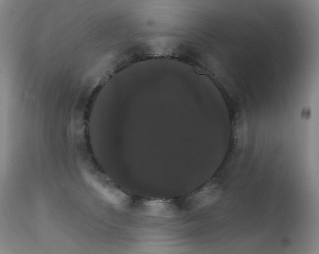 X0000111800516200909031232