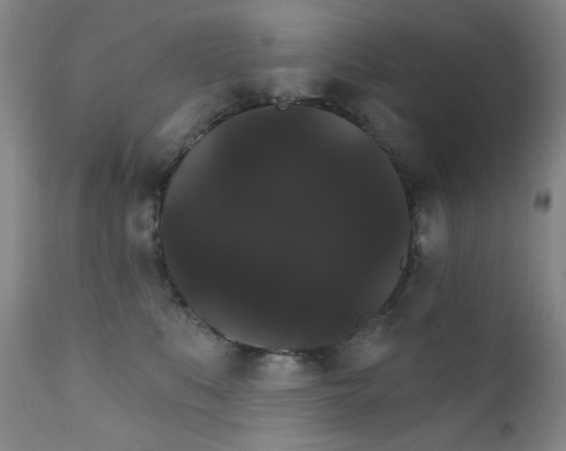 X0000111800519200909031232