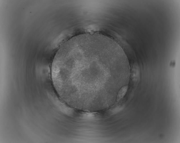 X0000111800523200909031232
