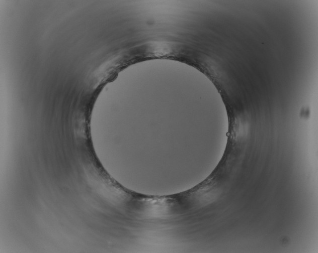 X0000111800524200909031232