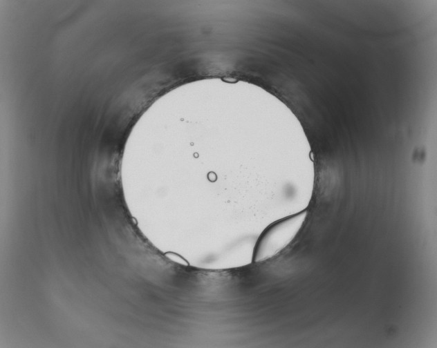 X0000111800525200909031232
