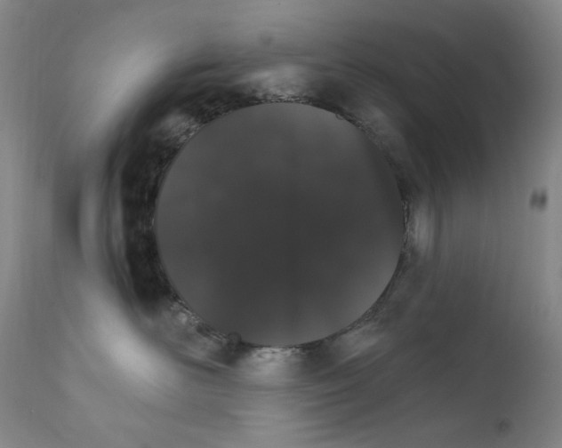 X0000111800526200909031232