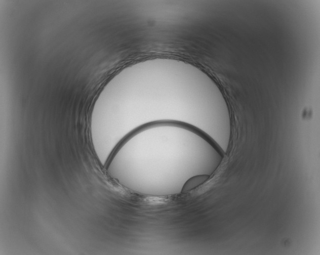 X0000111800528200909031232