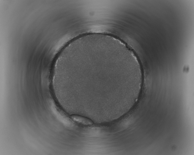 X0000111800530200909031231
