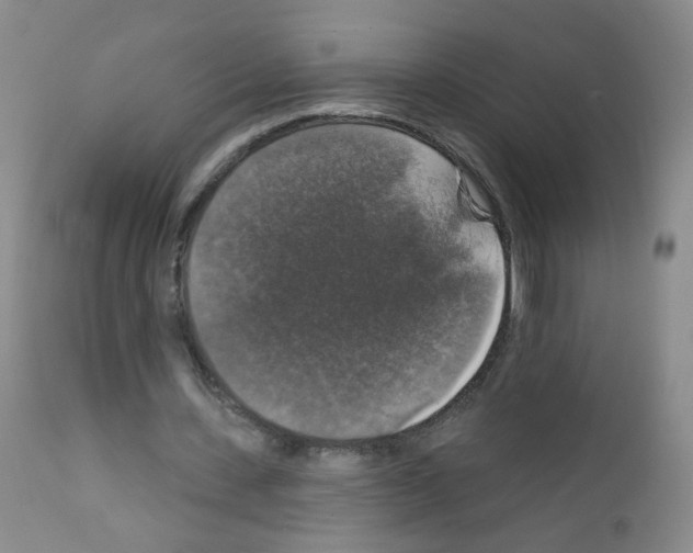X0000111800531200909031231