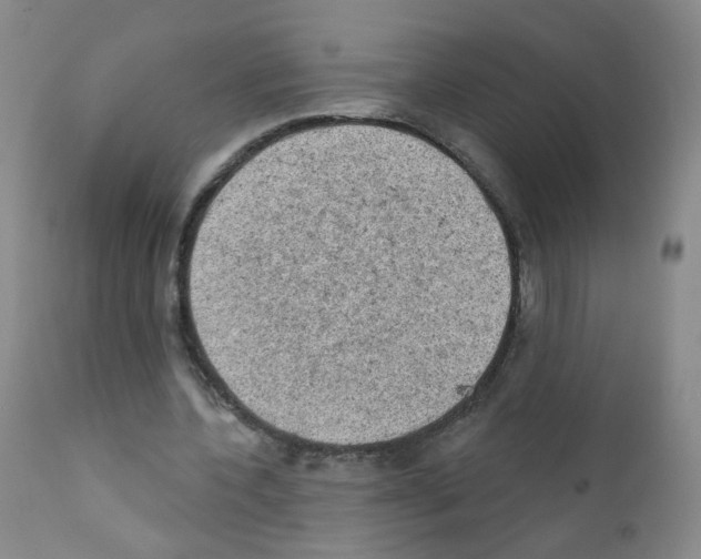 X0000111800532200909031231