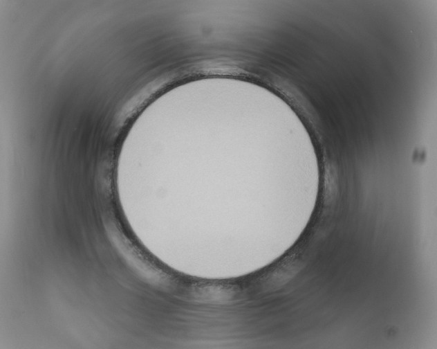 X0000111800533200909031231