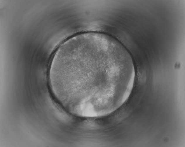 X0000111800534200909031231