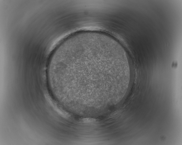 X0000111800535200909031231
