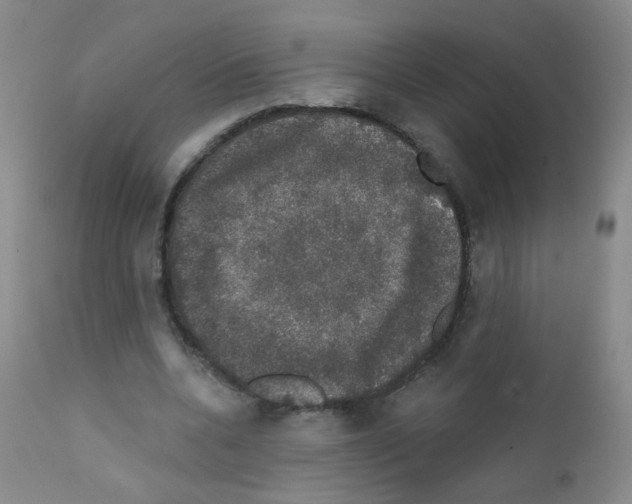 X0000111800536200909031231