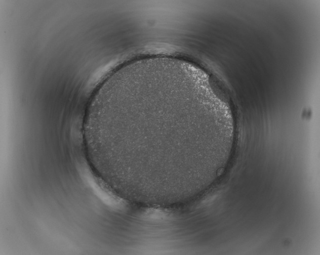 X0000111800538200909031231