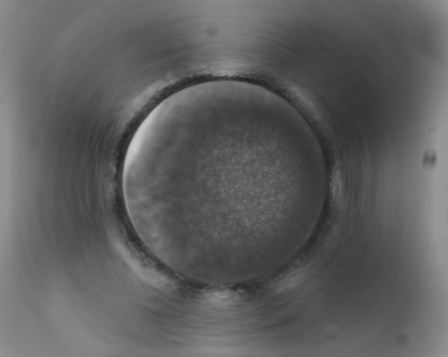 X0000111800540200909031231
