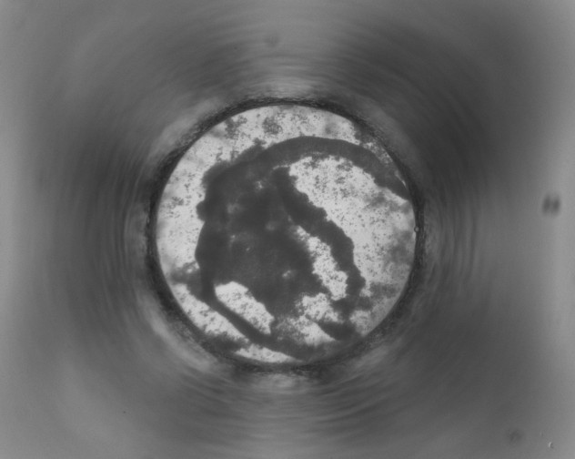 X0000111800542200909031231