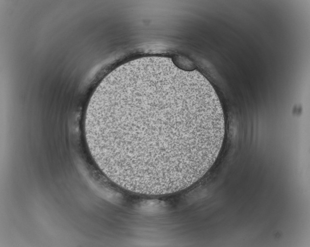 X0000111800543200909031231