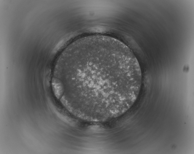 X0000111800544200909031231