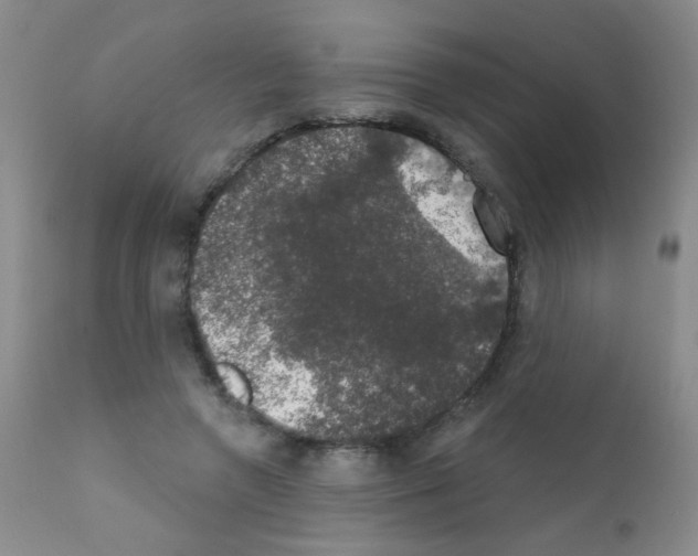 X0000111800546200909031231