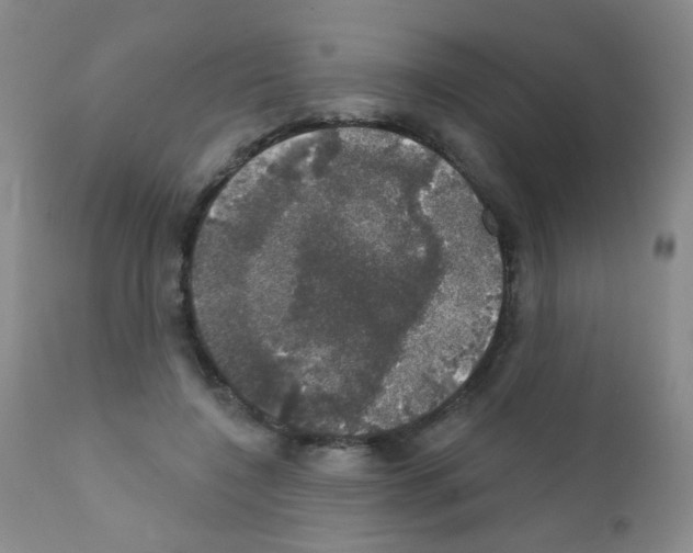 X0000111800548200909031231