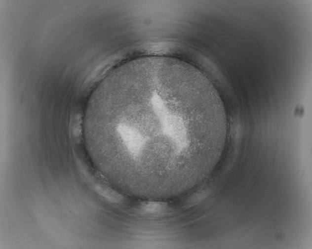 X0000111800549200909031231
