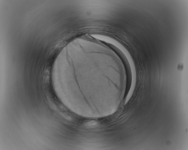 X0000111800551200909031231