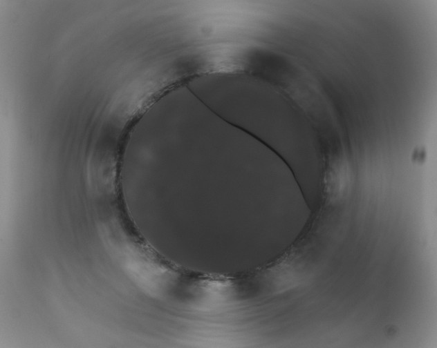 X0000111800552200909031232