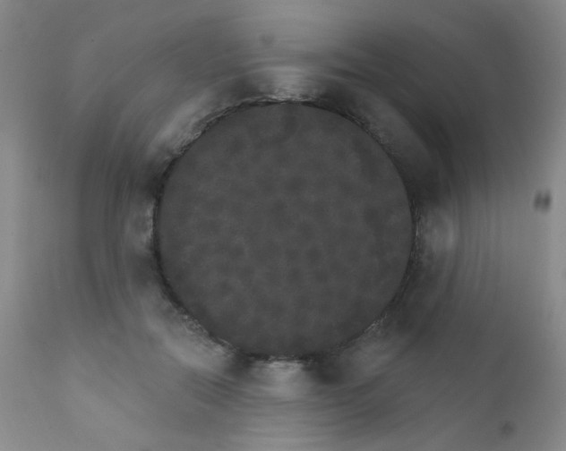 X0000111800554200909031232