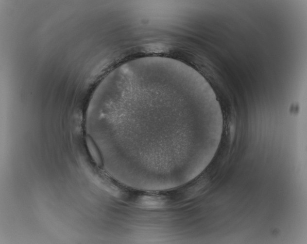X0000111800556200909031232