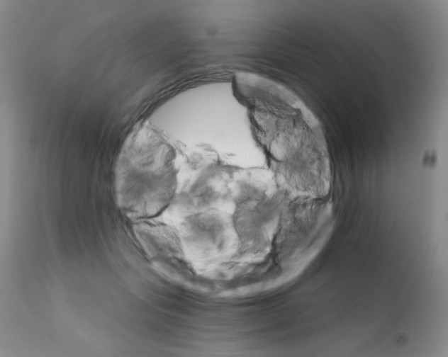 X0000111800557200909031232