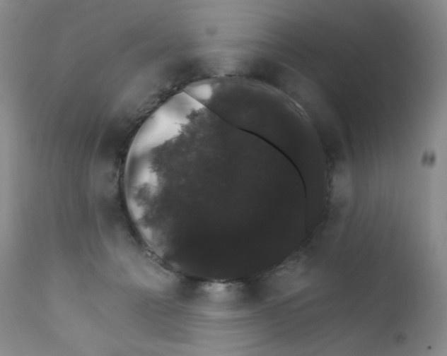 X0000111800558200909031232