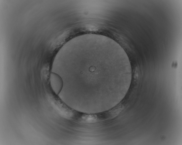 X0000111800559200909031232