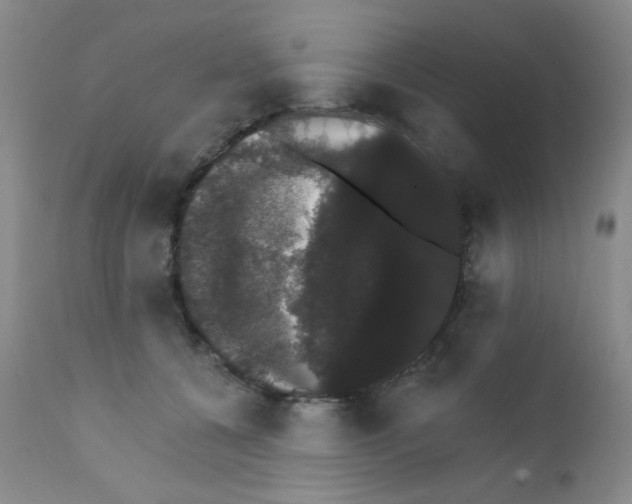 X0000111800560200909031232