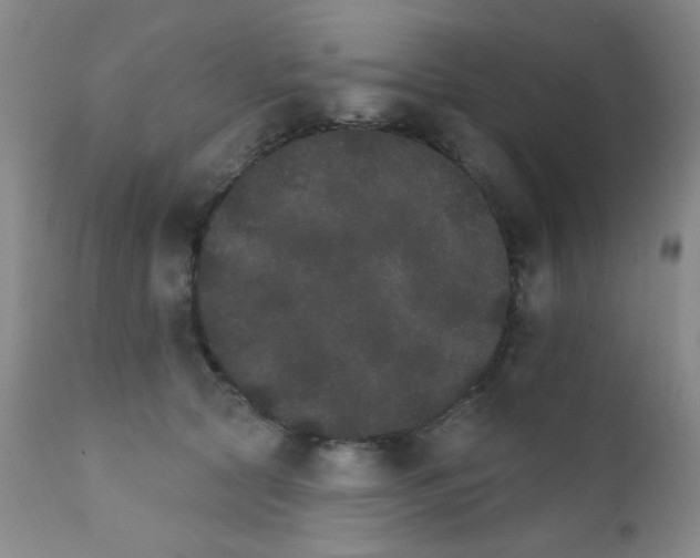 X0000111800561200909031232