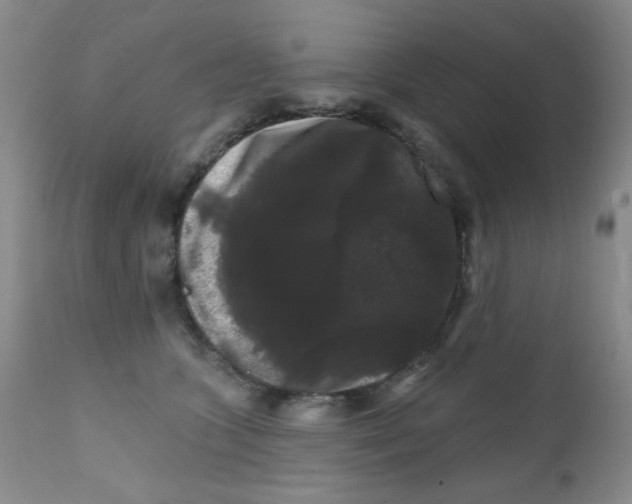 X0000111800563200909031232