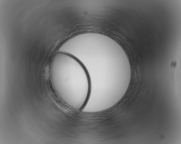X0000111800564200909031232