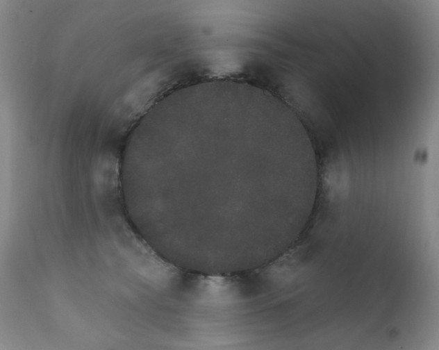 X0000111800565200909031232