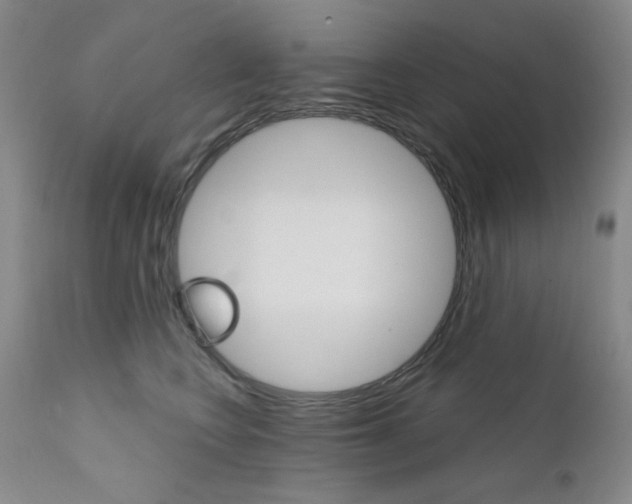 X0000111800566200909031232