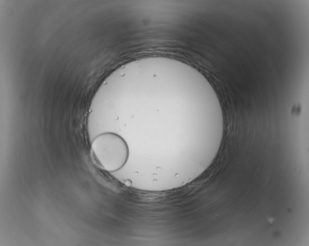 X0000111800567200909031232