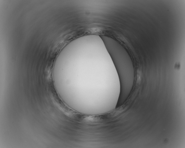 X0000111800568200909031232